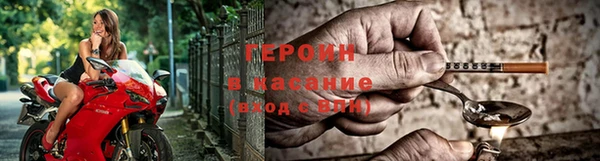 хмурый Ельня