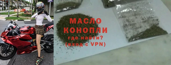 хмурый Ельня