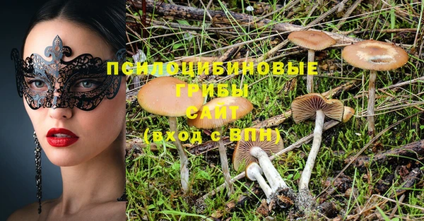 мдпв Елабуга