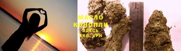 хмурый Ельня