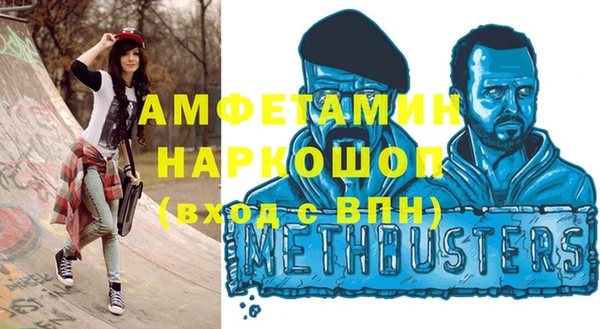 мдпв Елабуга