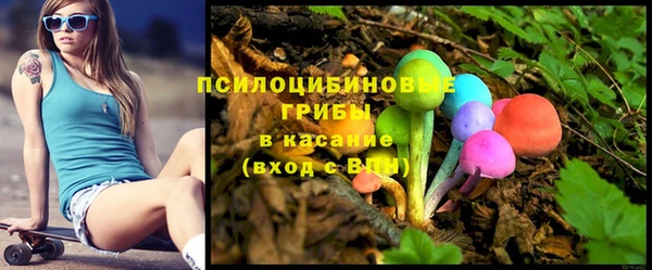 мдпв Елабуга