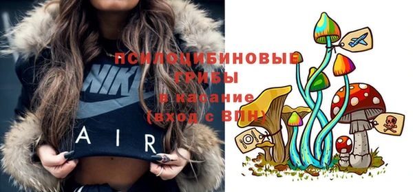 хмурый Ельня