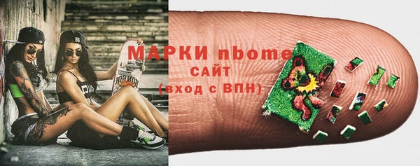 хмурый Ельня