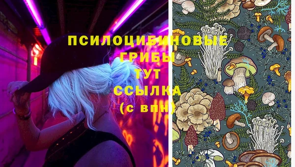 мдпв Елабуга
