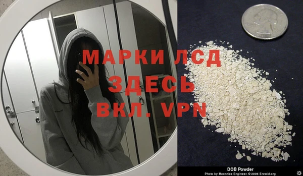 хмурый Ельня