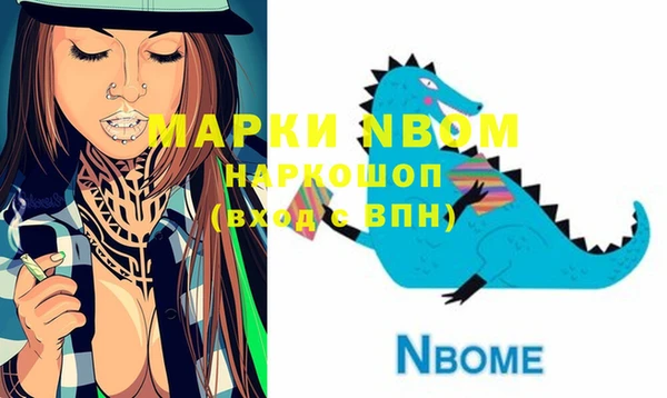 хмурый Ельня