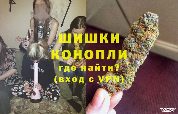 Альфа ПВП Дмитриев