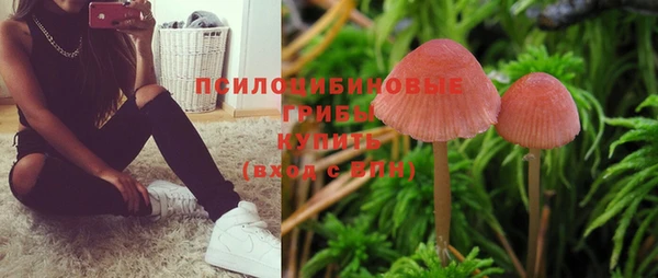 Альфа ПВП Дмитриев