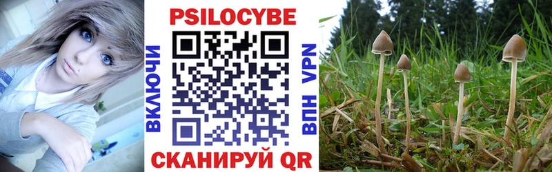 даркнет какой сайт  Сызрань  Псилоцибиновые грибы Psilocybine cubensis  как найти наркотики  omg ссылки 